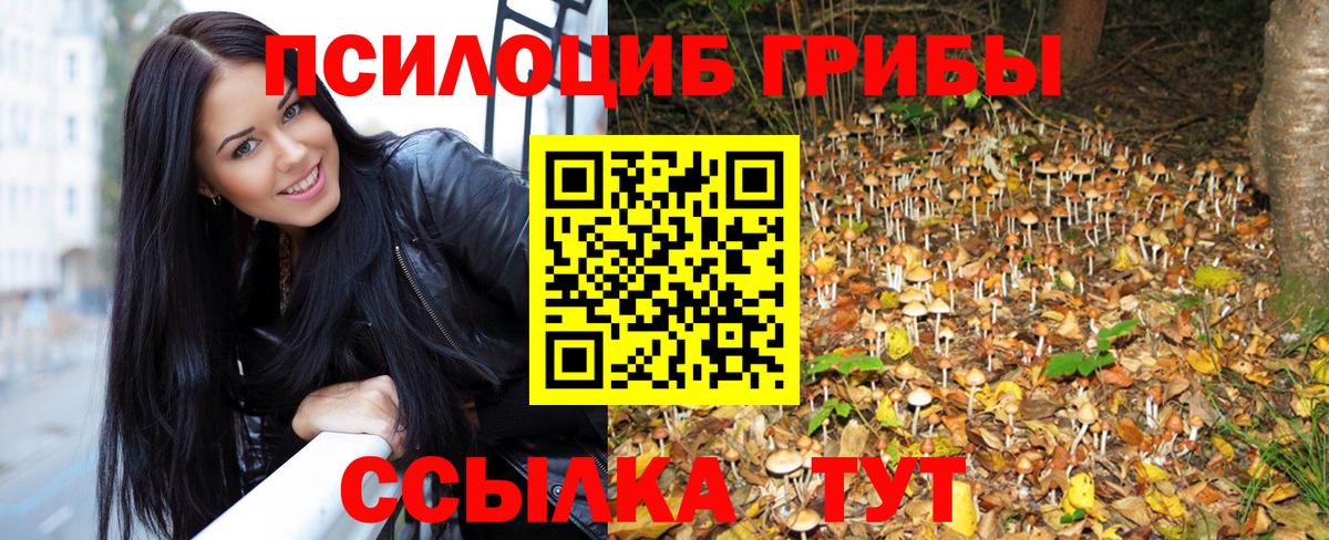 Псилоцибиновые грибы ЛСД  Вход с VPN  Галлюциногенные грибы Psilocybe  Калининград 